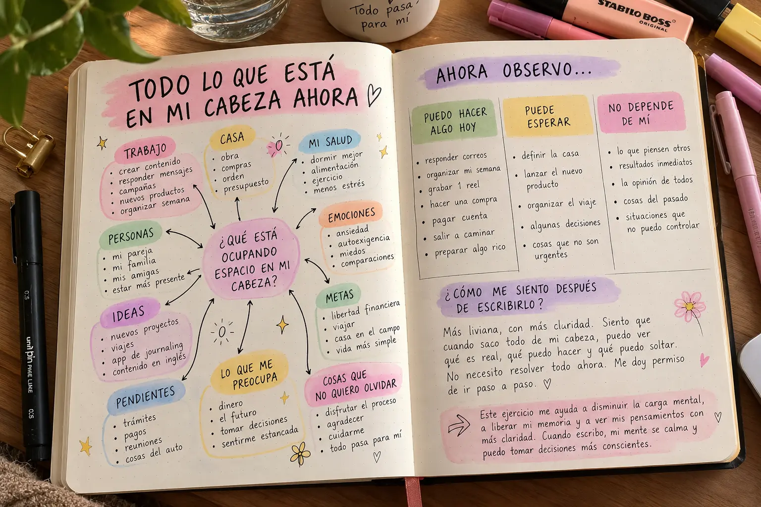 Ejemplo en cuaderno: Todo lo que está en mi cabeza… ahora observo